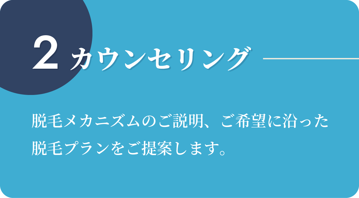 2.カウンセリング:脱毛メカニズムのご説明、ご希望に沿った脱毛プランをご提案します。