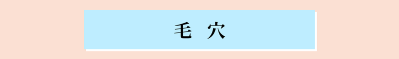美容皮膚科キャンペーン
