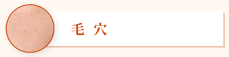 広島　美容皮膚科　美肌キャンペーン